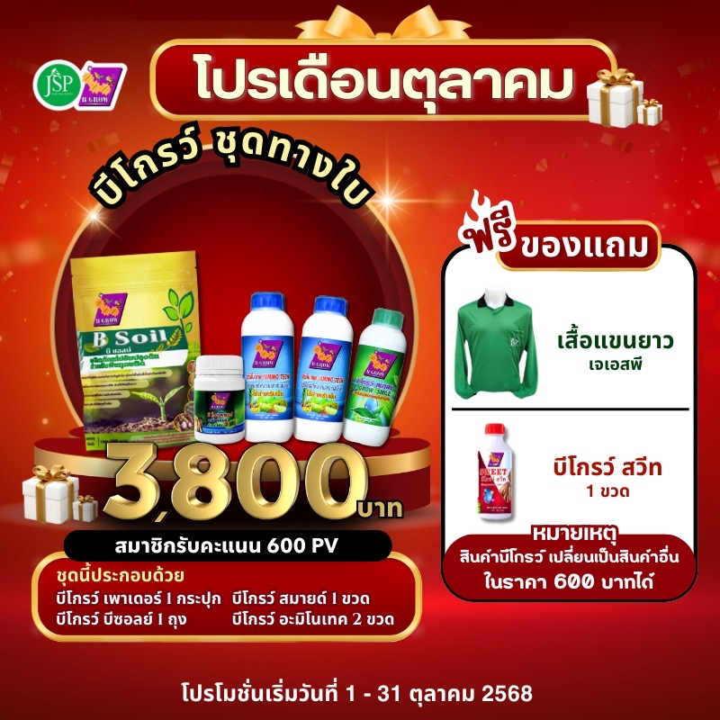 Promotion