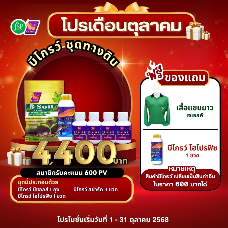 Promotion